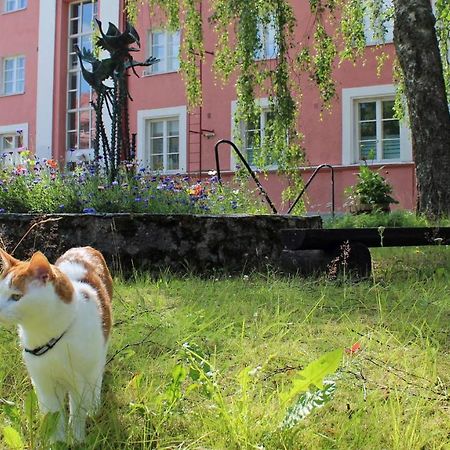 Vanha Koulu Suolahti Kültér fotó