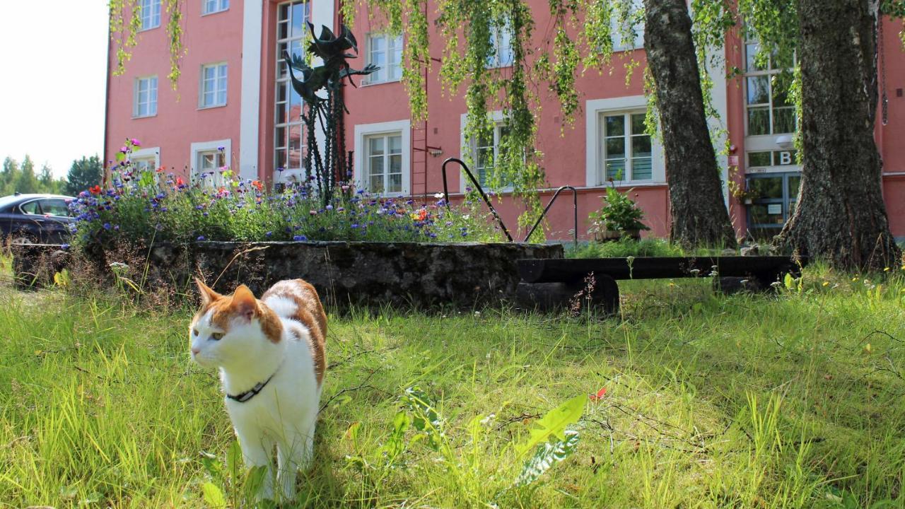 Vanha Koulu Suolahti Kültér fotó