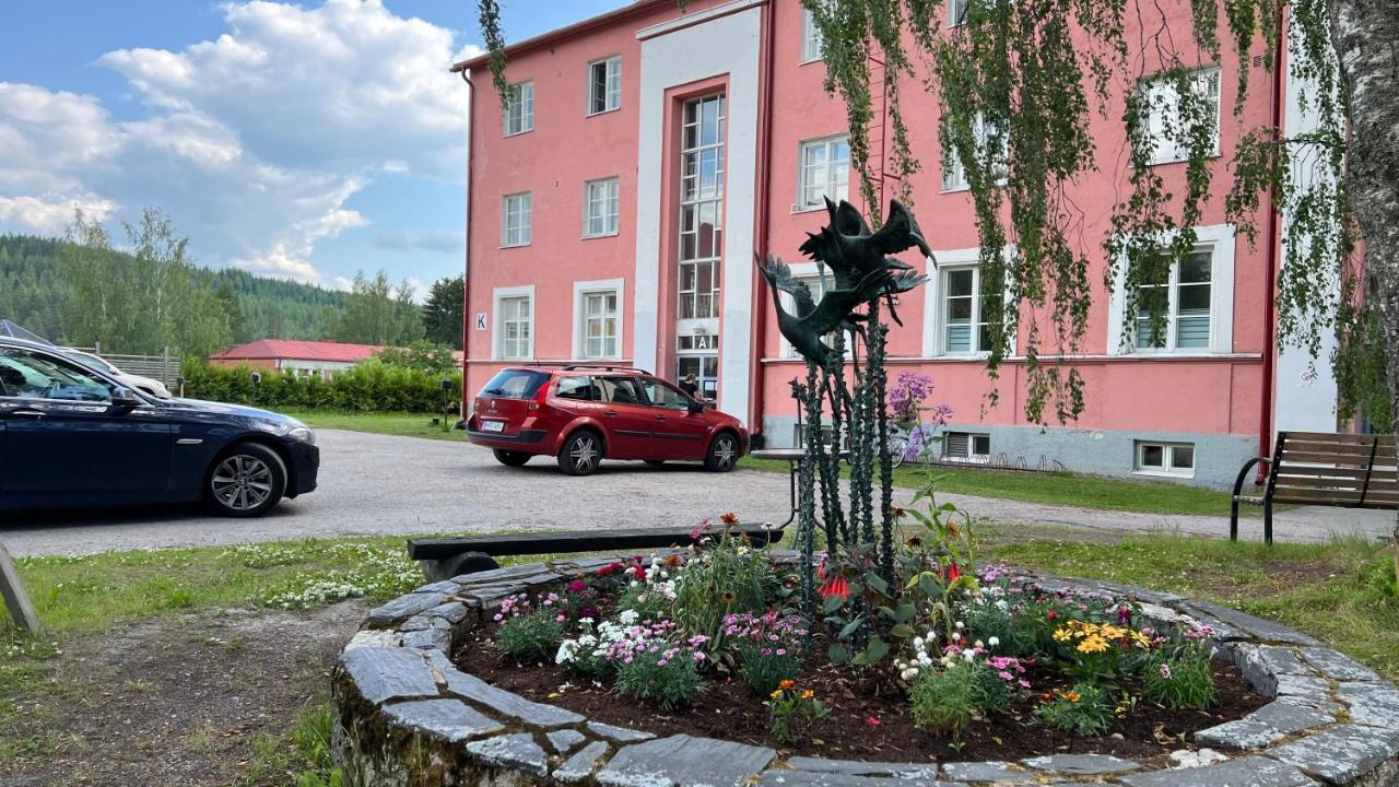 Vanha Koulu Suolahti Kültér fotó